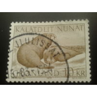 Дания Гренландия 1973 моржи