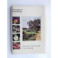 Экскурсия в природу. Лекарственные растения. Набор открыток 1977 года ( 25 шт. ) Н-26.