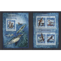 Сьерра-Леоне 2016** Водоплавающие птицы