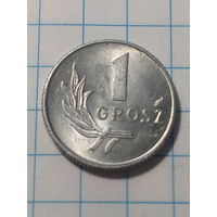 1 грош Польша 1949 год