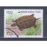[2441] Корея Южная 1996. Фауна.Черепаха. Гашеная марка.
