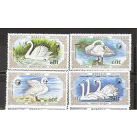 ФФ1 Монголия 1987 Лебеди