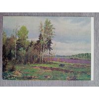 1954. Гусаревич. В мае