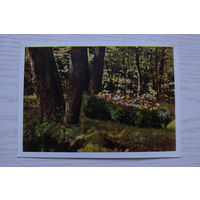 Ясная Поляна; 1963; чистая.