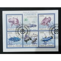 ЛИСТ ФАУНА рыбы морские обитатели  СТО