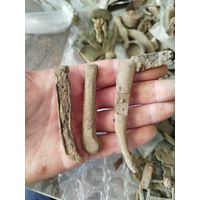 Три рукояти старинных царских ножика,и одна накладка,с рубля