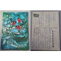 Открытка С Новым годом.1987 г.худ.Малинская