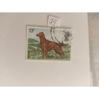 Великобритания 1979