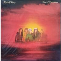 URIAH HEEP /Sweet Freedom/1973, Bronze, LP, NM, Japan