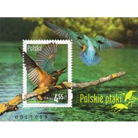 Польша 2013. Птицы. Mi 4603. Блок 213