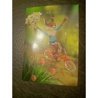 Открытка "ПОЗДРАВЛЯЮ!"