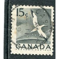 Канада. Стандарт. Фауна. Северная олуша