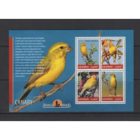 Уганда 2014** Птицы Канарейка