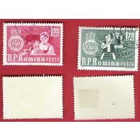 Румыния 1963 Борьба с голодом
