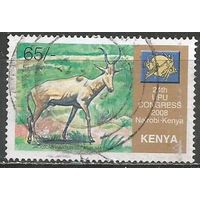 Кения. Коровья антилопа. 2008г. Mi#816.