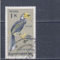 [1341] Бирма 1968. Фауна.Птица-носорог. Гашеная марка.