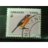 Зимбабве, 2005. Золотистогрудая овсянка