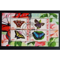 ЛИСТ ЖУКИ БАБОЧКИ НАСЕКОМЫЕ  СТО