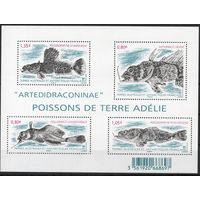 Французские Антарктические территории  2016. Рыбы. 1 блок (916)