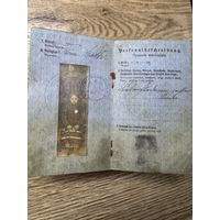 Паспорт 1917г.