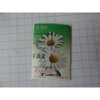 Маргаритки. Испания. 2007