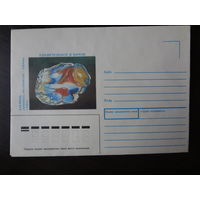 ХК СССР, 1991 г. Кремень.