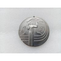 Медаль (тяжёлая)