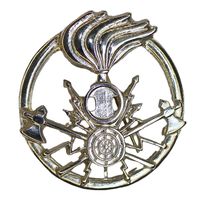 Кокарда на берет войск связи сухопутных войск Италии FREGIO BASCO GENIO TRASMISSIONI