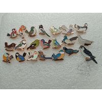 Набор значков 21 шт. Птицы