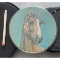 Чистокровная верховая. Бв-61