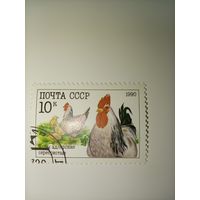 СССР 1990г. Куры адлерские серебристые.