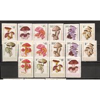 ФФ1 Болгария 1961 Грибы