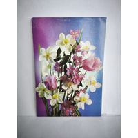 Открытка, 1990г, чистая. Цветы нарциссы, тюльпаны. 24