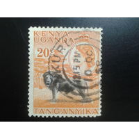 Кения Уганда Танганьика, 1954. Королева Елизавета II, лев