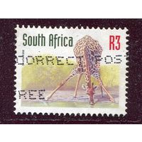 ЮАР. Стандарт. Фауна. Жираф