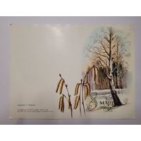Открытка двойная "8 марта", 1986 г. С. Баранов.