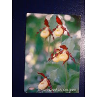 Календарик 2003 г.  Березинский заповедник.