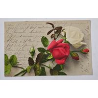 1908  год Либава   Открытка