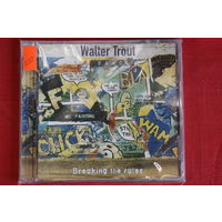 Walter Trout Band - Breaking The Rules (2004, CD)