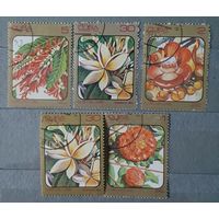 Куба цветы 5шт