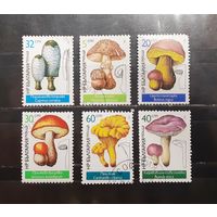 Болгария. 1987 год. Флора. Грибы (962)