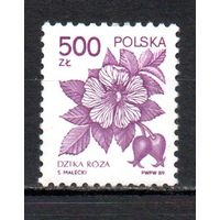 Стандартный выпуск Польша 1989 год 1 марка