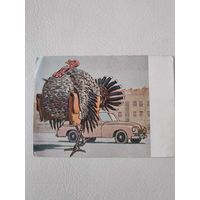 Открытка "Индюк" худ. Литвиненко В. Г. Серия " Исчезающие разновидности птиц"по