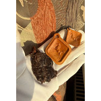 Подвеска, кулон из ценной породы дерева Лошадь, конь Сувель березы, Палисандр Кингвуд Цена разная