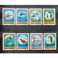 Монголия 1980г. Серия из 8 марок. Антарктические животные. гаш.