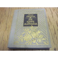 Панчанка П. Дзе начуе жауранак. Вершы. 1983 г. С рубля!