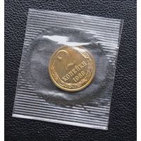 2 копейки  1989 год наборная