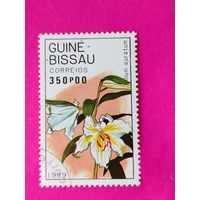 Гвинея-Бисау. Цветы. ( 1 марка ) 1989 года. 7-7.