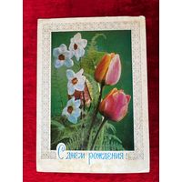 С днём рождения! Подписана. 1978 год. Савин.