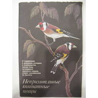 Неприхотливые комнатные певцы. Буклет.